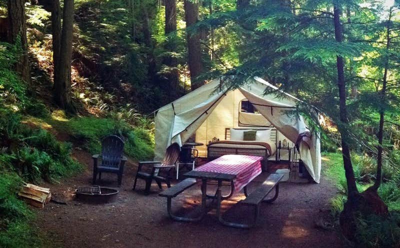 Camper submitted image from Southend Campground — Moran State Park - 2