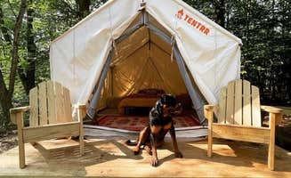 The Dyrt's photo of camping with pets at Tentrr Signature Site - Horseshoe River : Brookside near Casco, ME