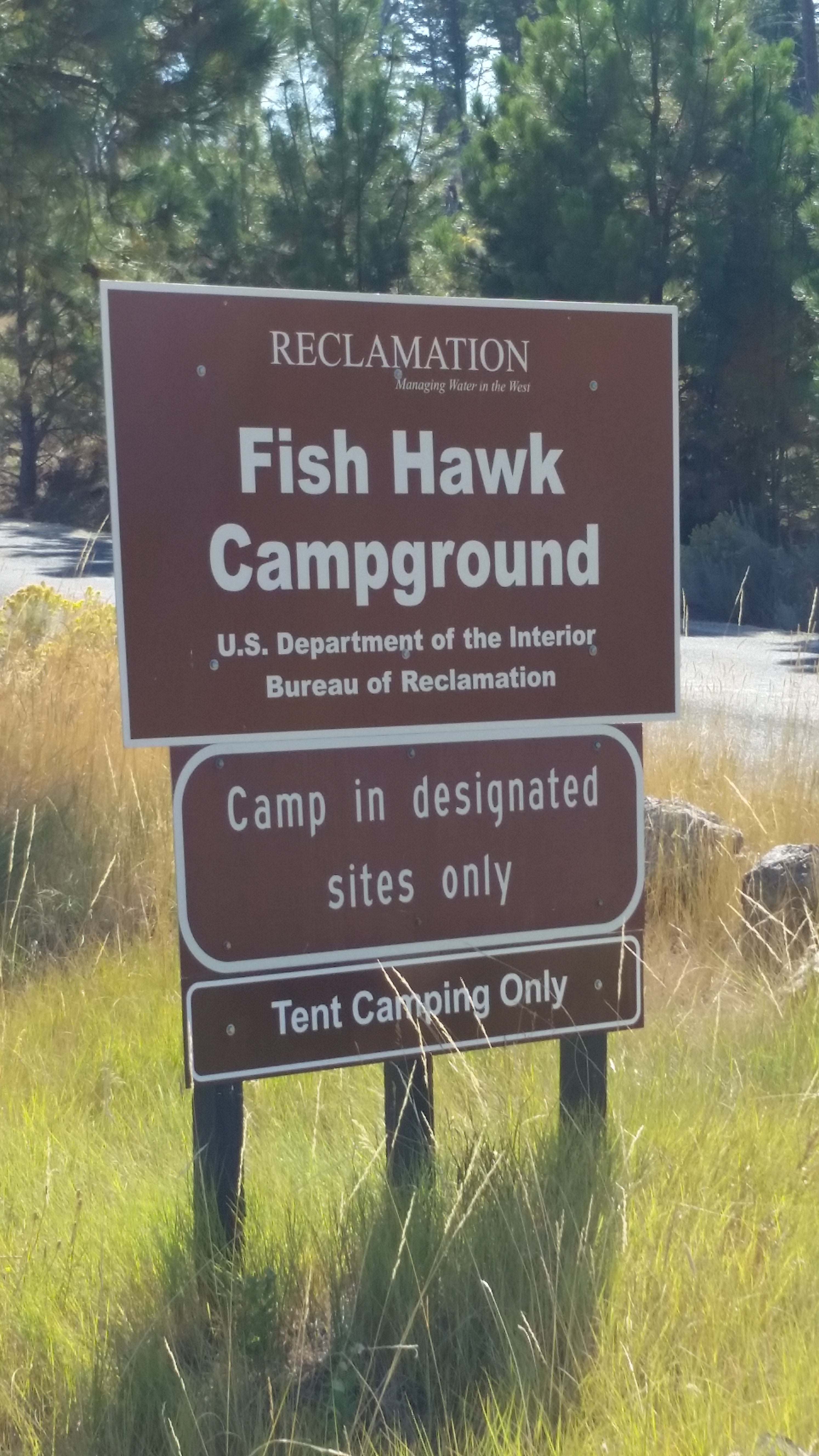 Camper submitted image from Fish Hawk Campground - 4