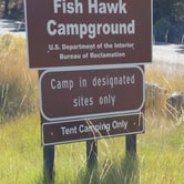 Review photo of Fish Hawk Campground by Dexter I., September 11, 2018