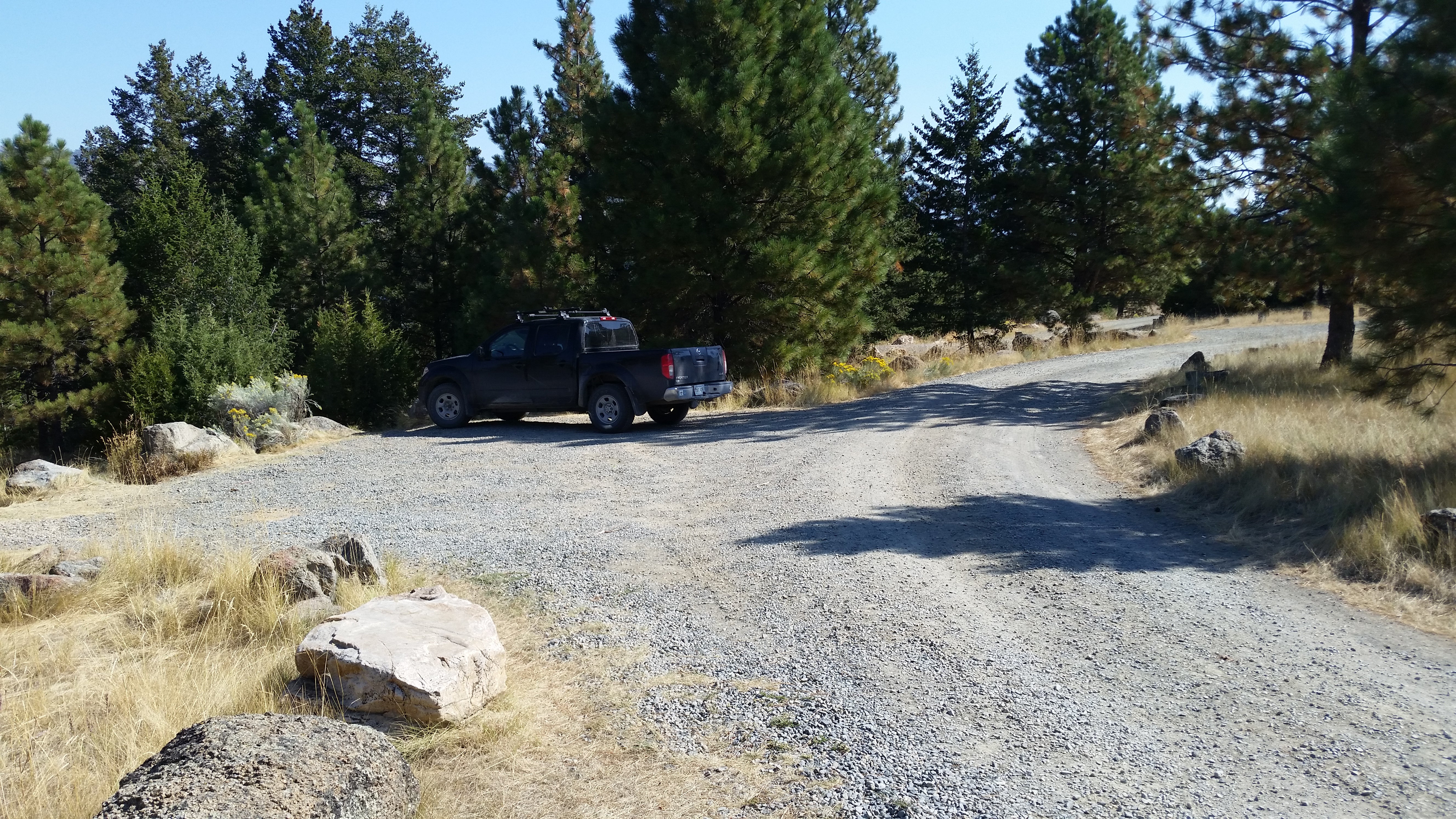 Camper submitted image from Fish Hawk Campground - 3