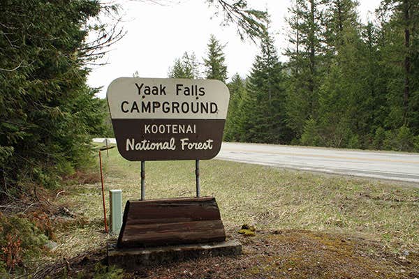 Camper submitted image from Yaak Falls Campground - 4