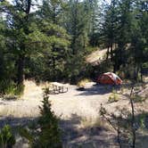 Review photo of Fish Hawk Campground by Dexter I., September 11, 2018