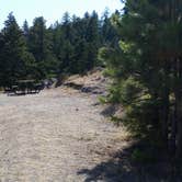 Review photo of Fish Hawk Campground by Dexter I., September 11, 2018