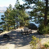 Review photo of Fish Hawk Campground by Dexter I., September 11, 2018