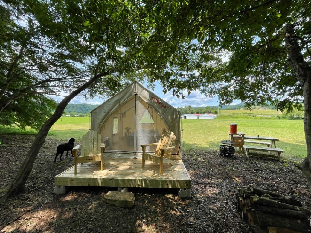 The Dyrt's photo of camping with pets at Tentrr Signature Site - Skyhawk near Lewisburg, WV