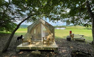 The Dyrt's photo of camping with pets at Tentrr Signature Site - Skyhawk near George Washington & Jefferson National Forest