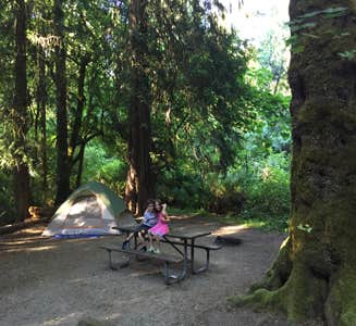 Camper-submitted photo from Saltwater State Park Campground