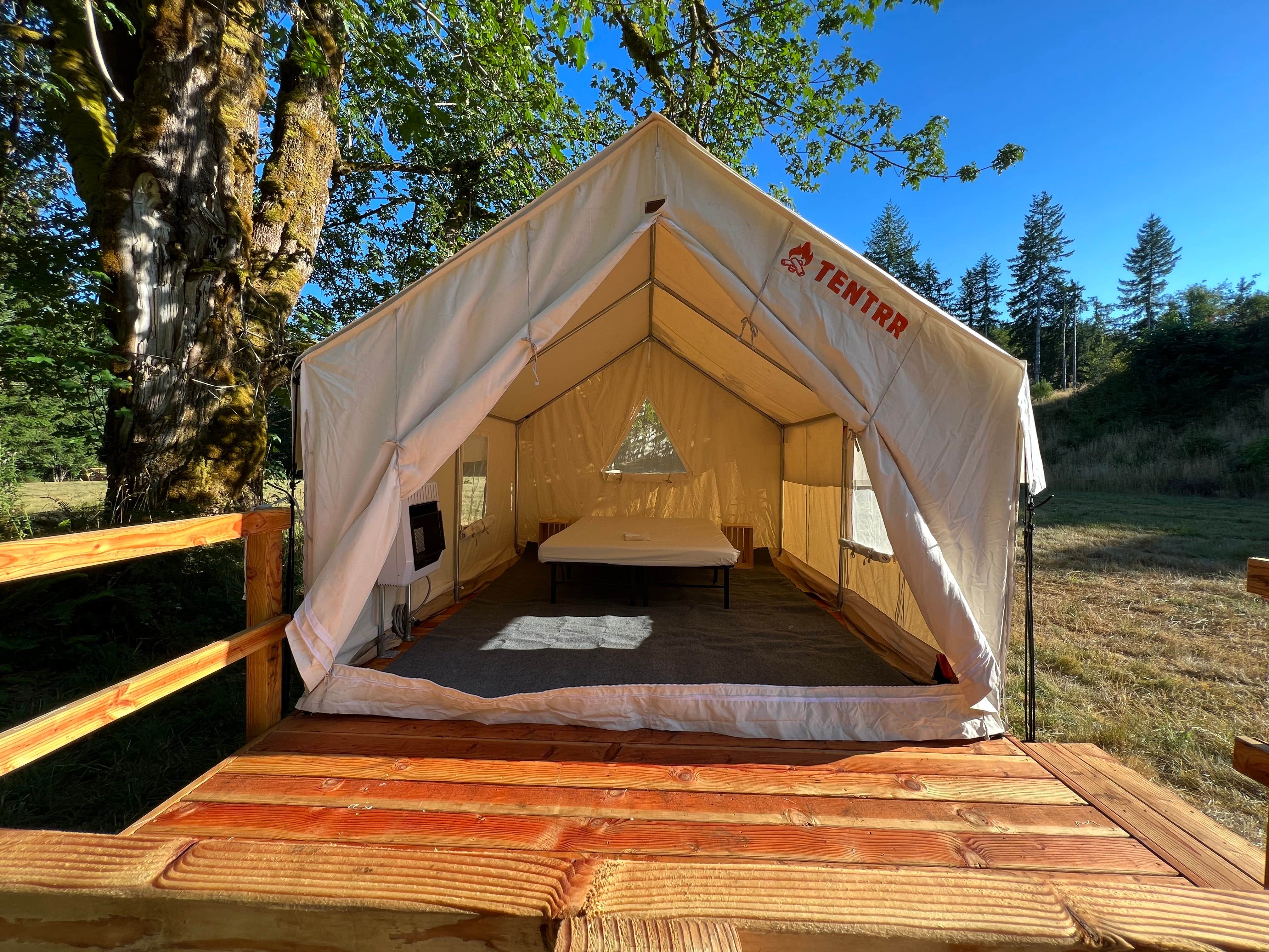 The Dyrt's photo at Tentrr Signature Site - Grandmother Maple Camp... near Falls City, OR