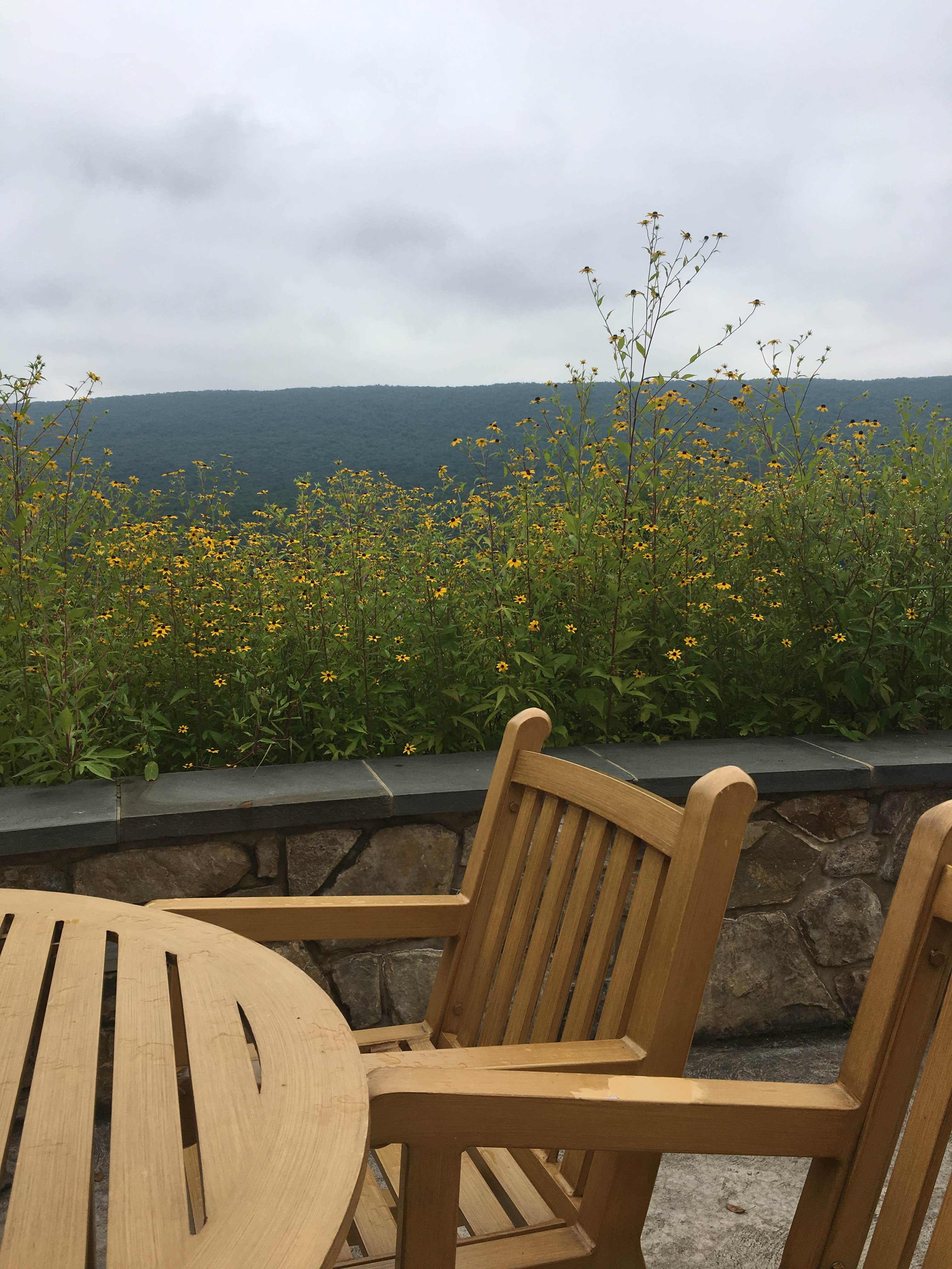 Camper submitted image from Russell P Letterman Campground — Bald Eagle State Park - 2