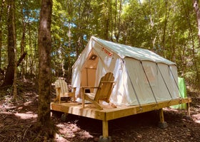 Tentrr Signature Site - Crestview Campsite Three