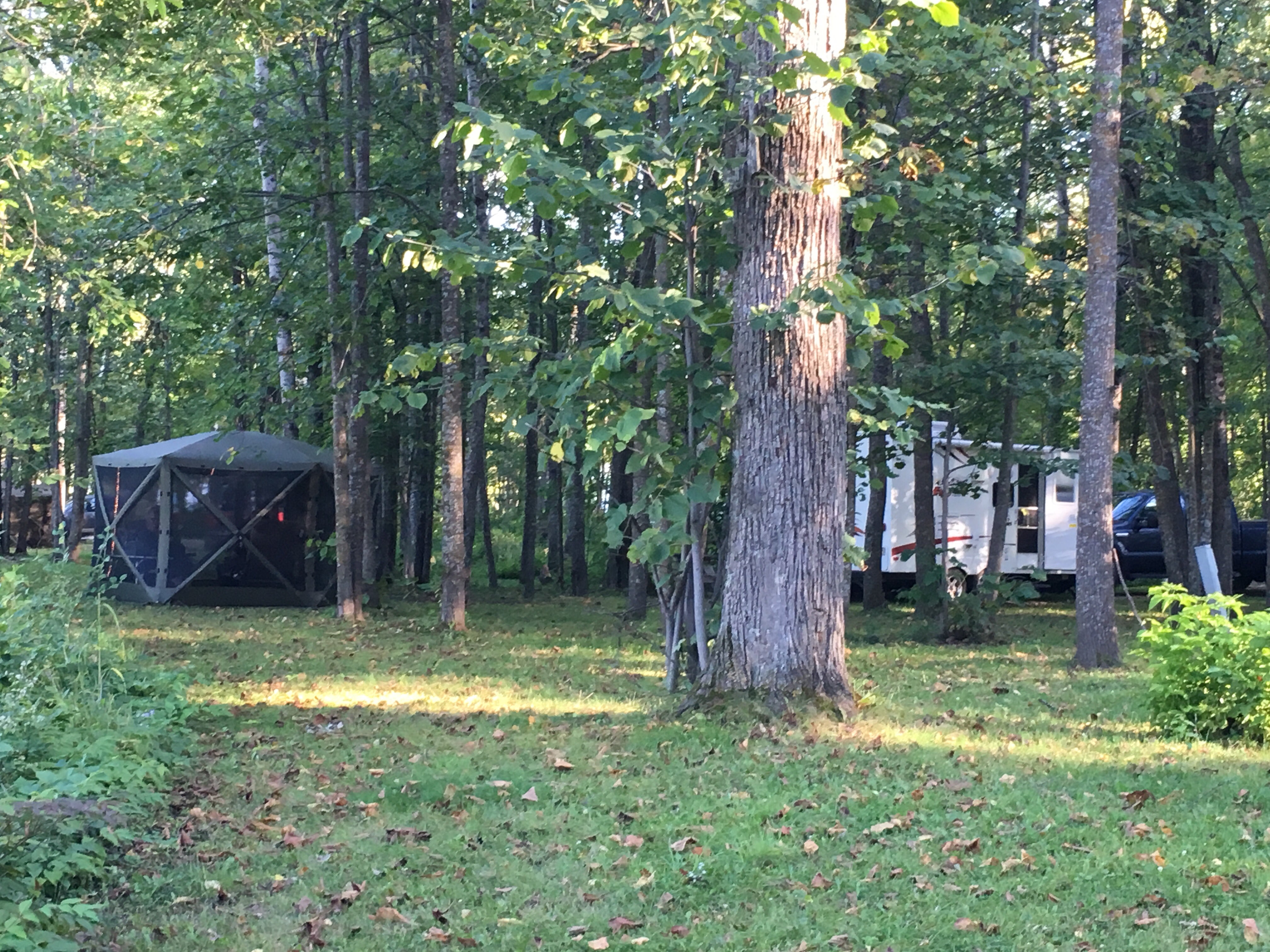 Camper submitted image from Floodwood Campground - 4