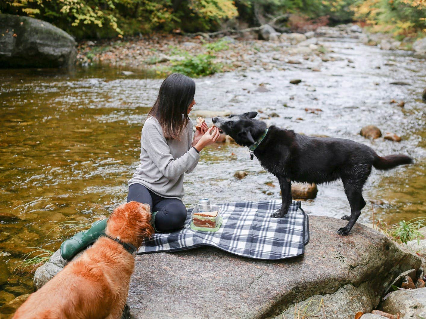 The Dyrt's photo of camping with pets at Tentrr Signature Site - Whispering Pines At The River near Gilford, NH