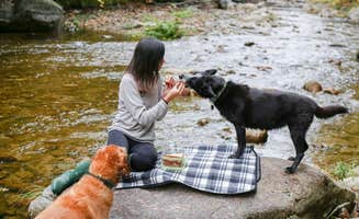 The Dyrt's photo of camping with pets at Tentrr Signature Site - Whispering Pines At The River near Thetford, VT