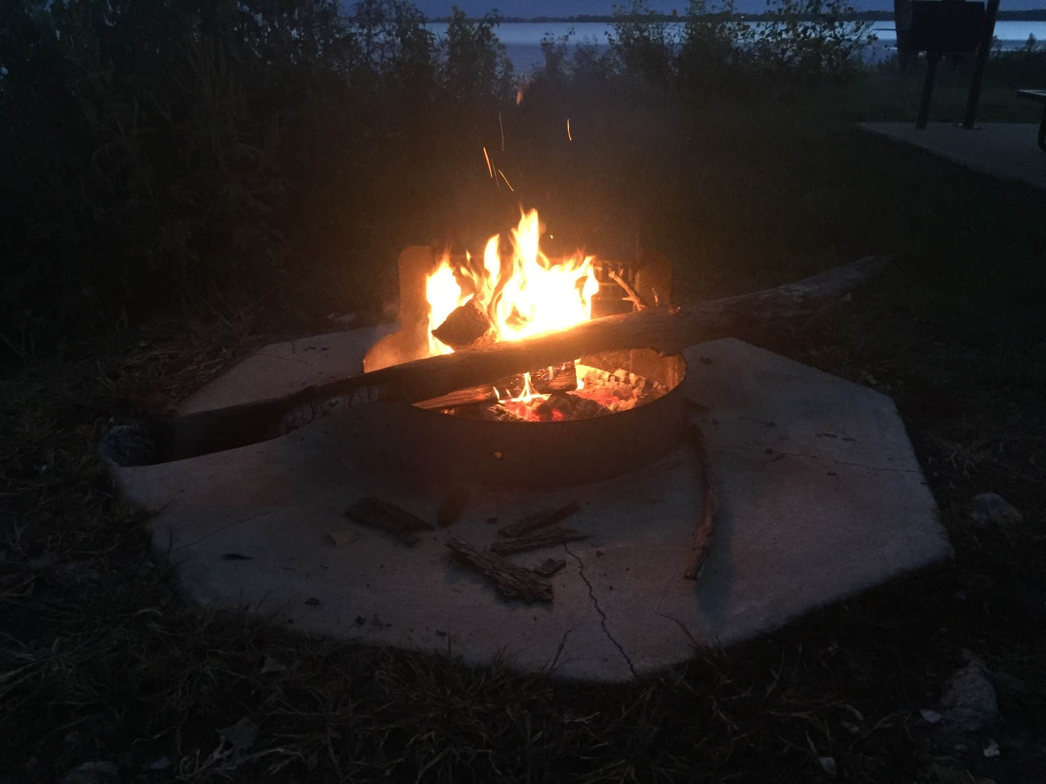 Camper submitted image from Cottonwood Point - 3