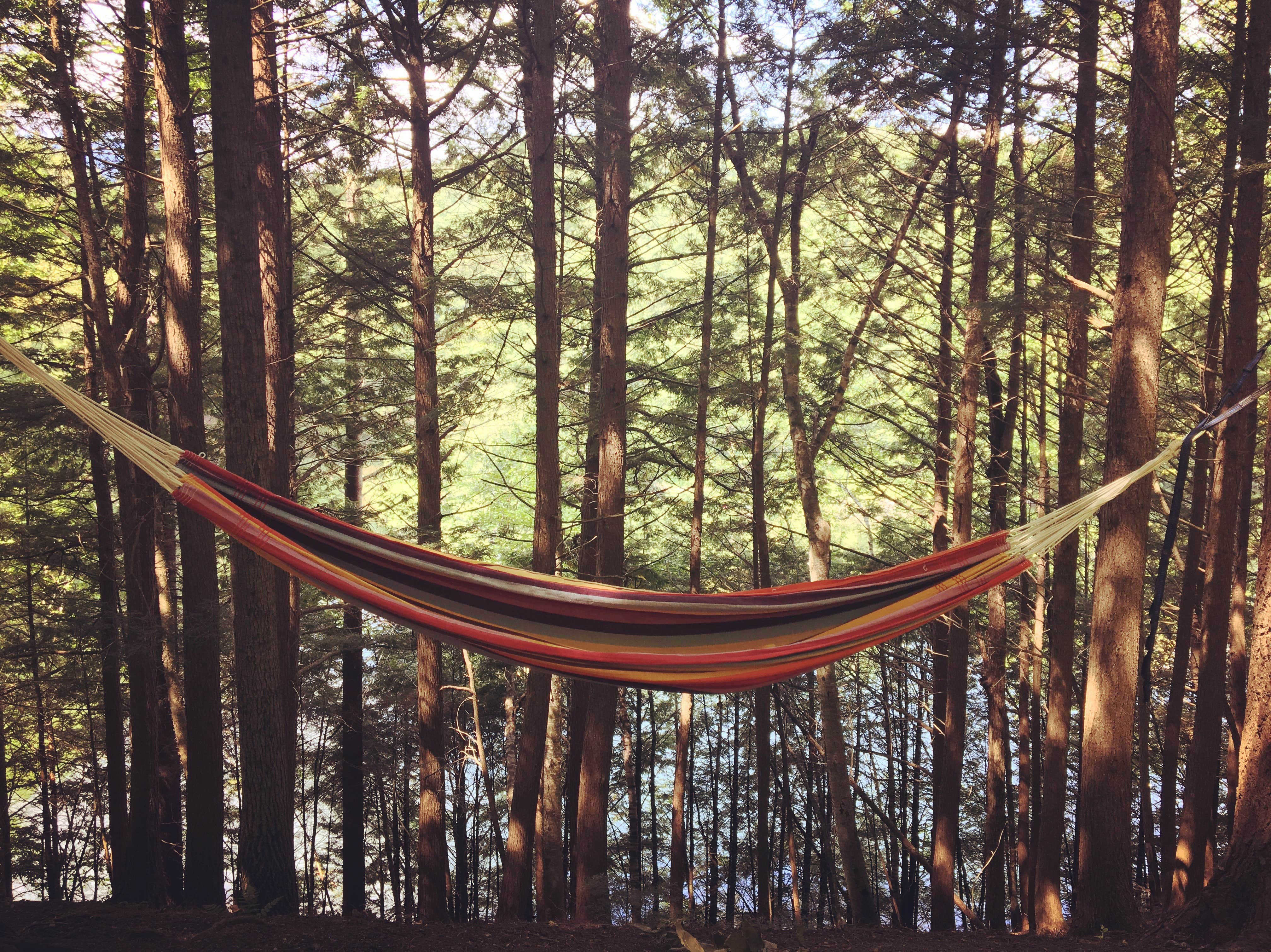 Camper submitted image from Little River State Park Campground - 4