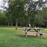 Review photo of American Legion Park by Janet R., September 11, 2018