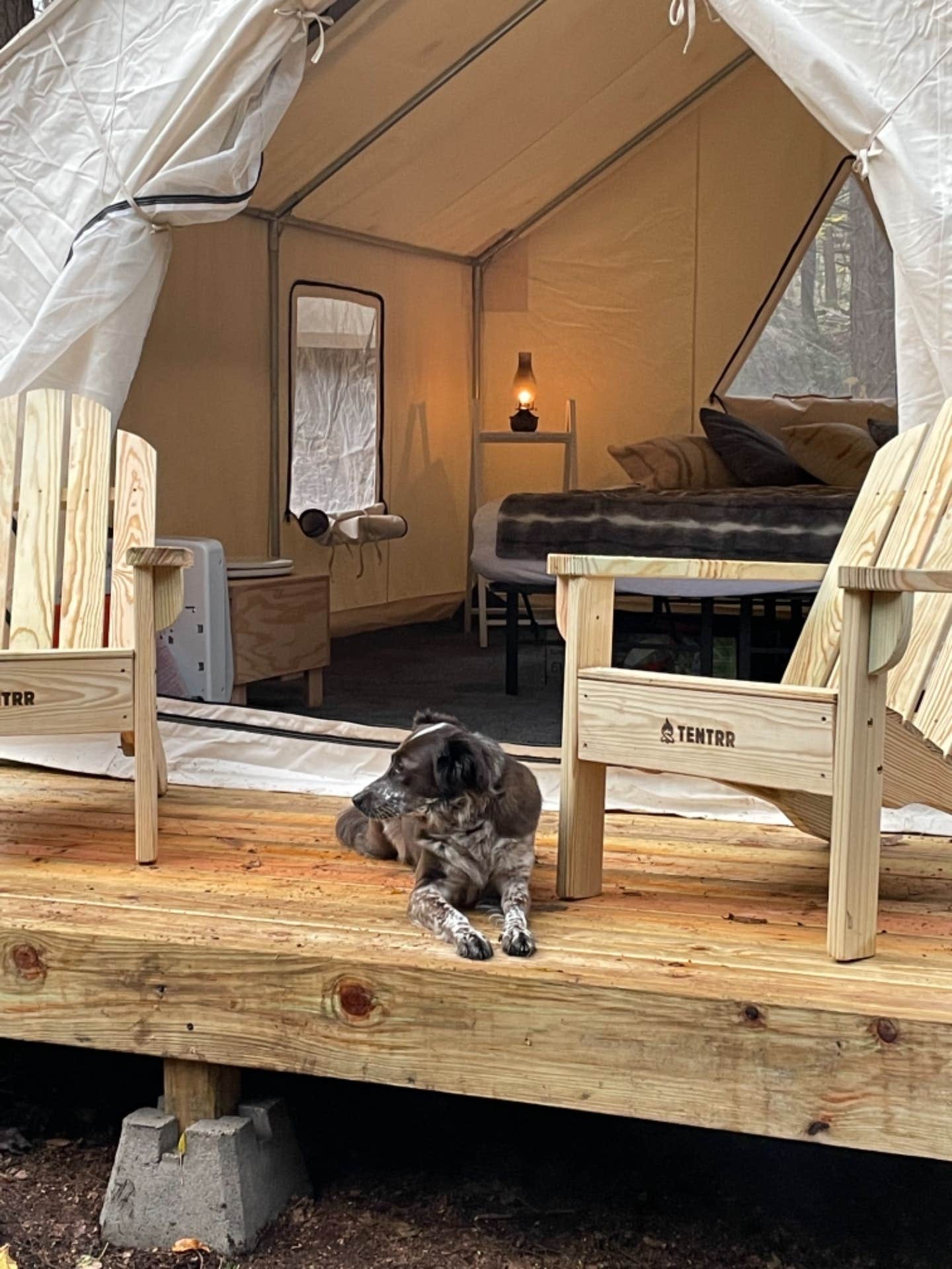The Dyrt's photo of camping with pets at Tentrr Signature Site - Twin Creeks Signature Campsite near Roscoe, NY