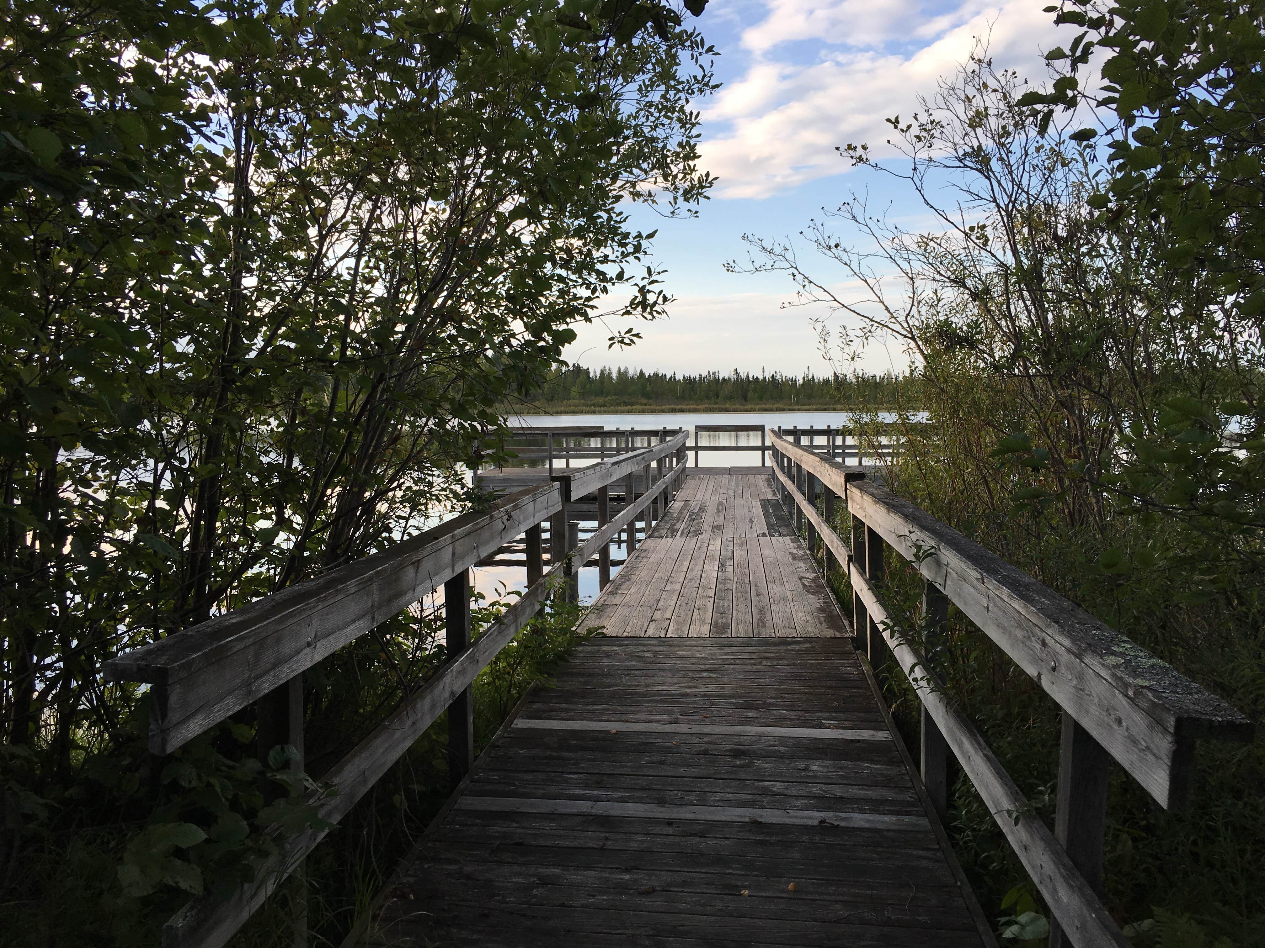 Camper submitted image from American Legion Park - 4