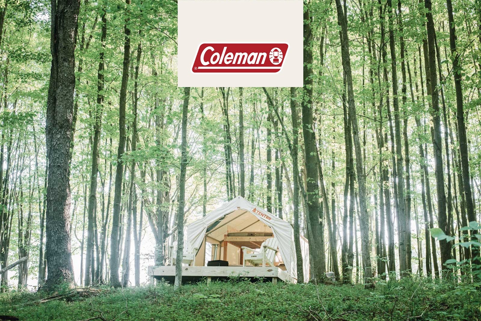 Camper submitted image from Tentrr Signature Site - Hollow Tree Camp - Coleman Outfitted Site - 1