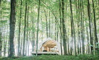 The Dyrt's photo of glamping accommodations at Tentrr Signature Site - Hollow Tree Camp - Coleman Outfitted Site near Beach Lake, PA