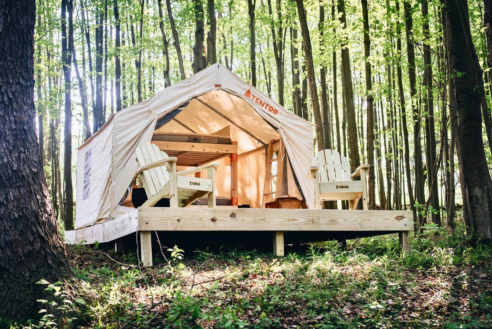 The Dyrt's photo at Tentrr Signature Site - Hollow Tree Camp - Coleman Outfitted Site near Fleetville, PA
