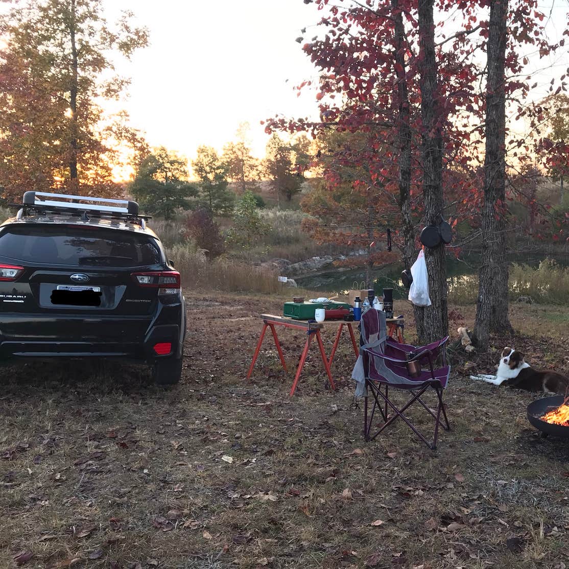 Whippoorwill Woods Nature Retreat Camping Bridgeport, TN