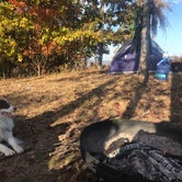 Review photo of Whippoorwill Woods Nature Retreat by katie , October 24, 2022