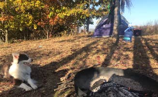 katie's photo of camping with pets at Whippoorwill Woods Nature Retreat near Sherwood, TN