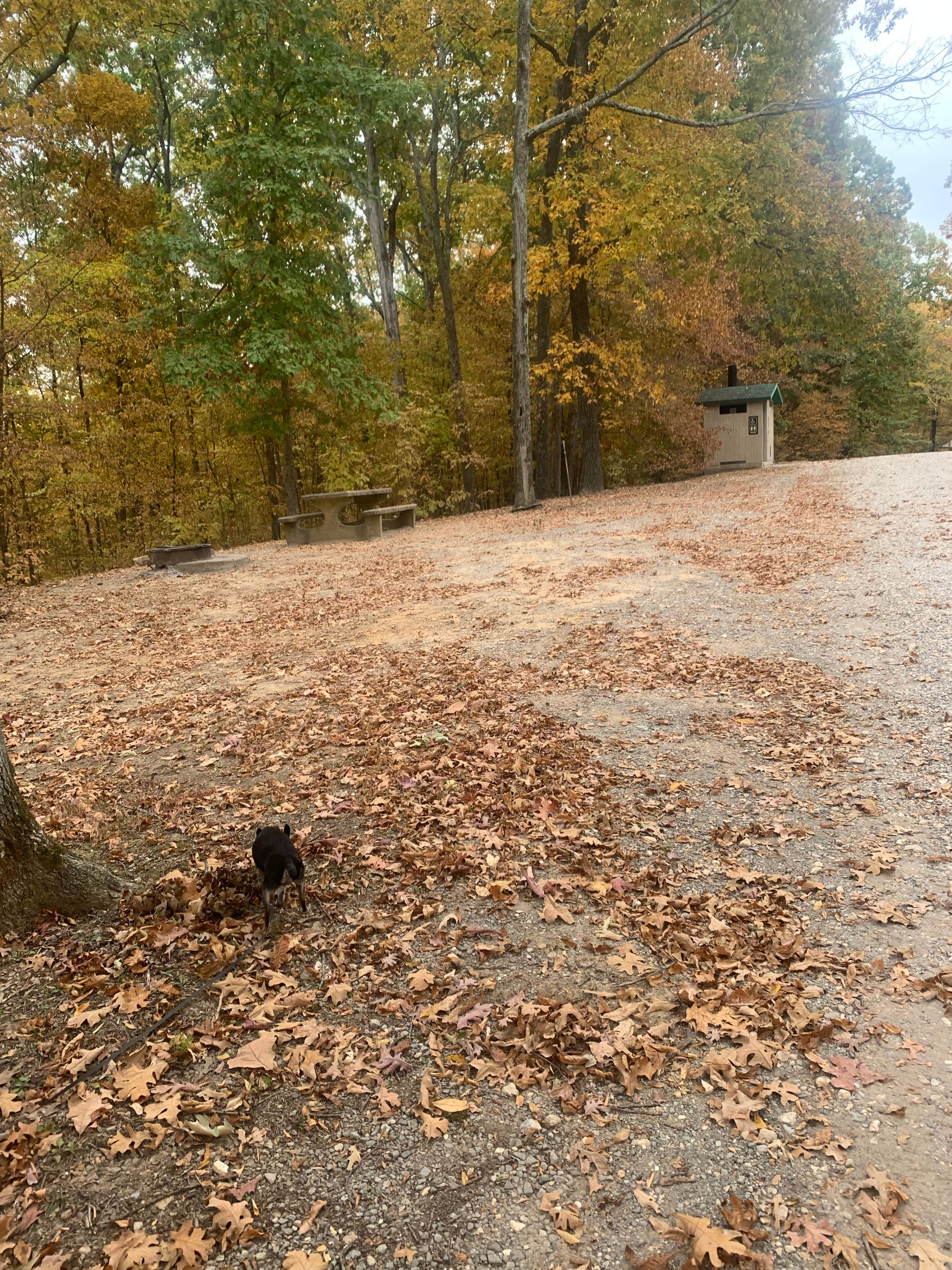 Michael W.'s photo of camping with pets at Sugar Bay Campground near Eddyville, KY