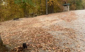 Michael W.'s photo of camping with pets at Sugar Bay Campground near Cadiz, KY