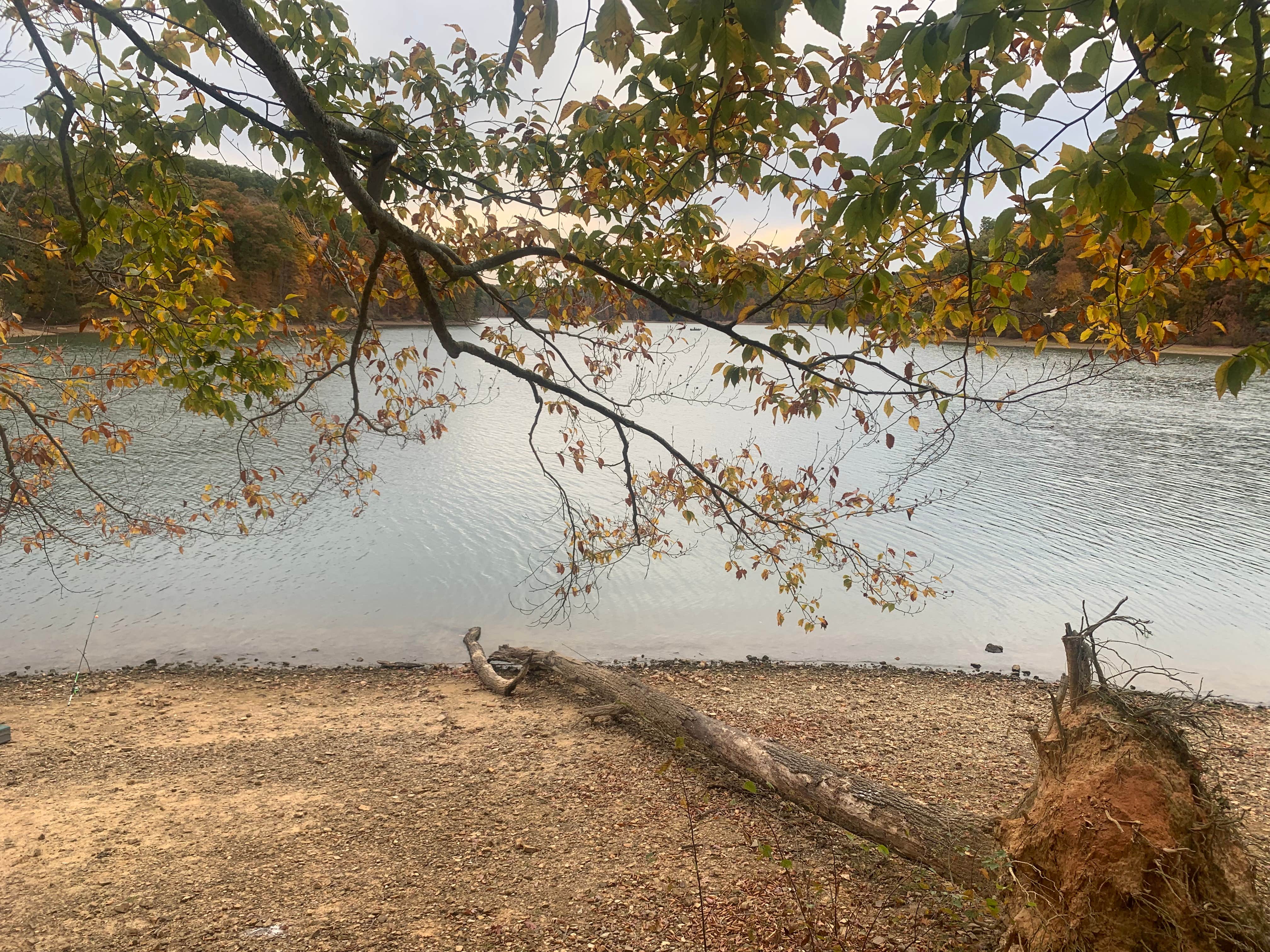 Camper-submitted photo at Sugar Bay Campground near Land Between the Lakes National Recreation Area