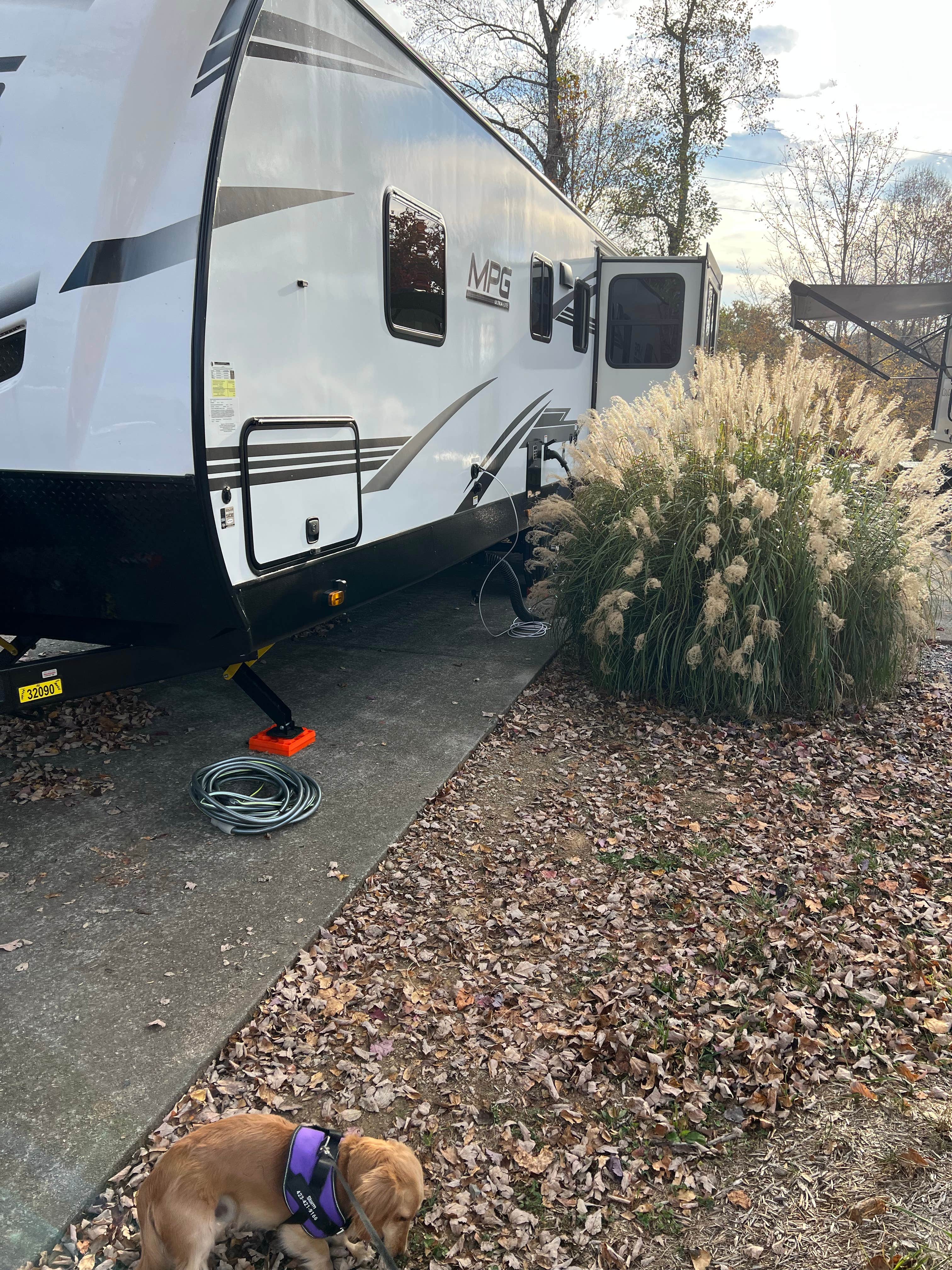 Bryan M.'s photo of camping with pets at Big Meadow Family Campground near Maryville, TN