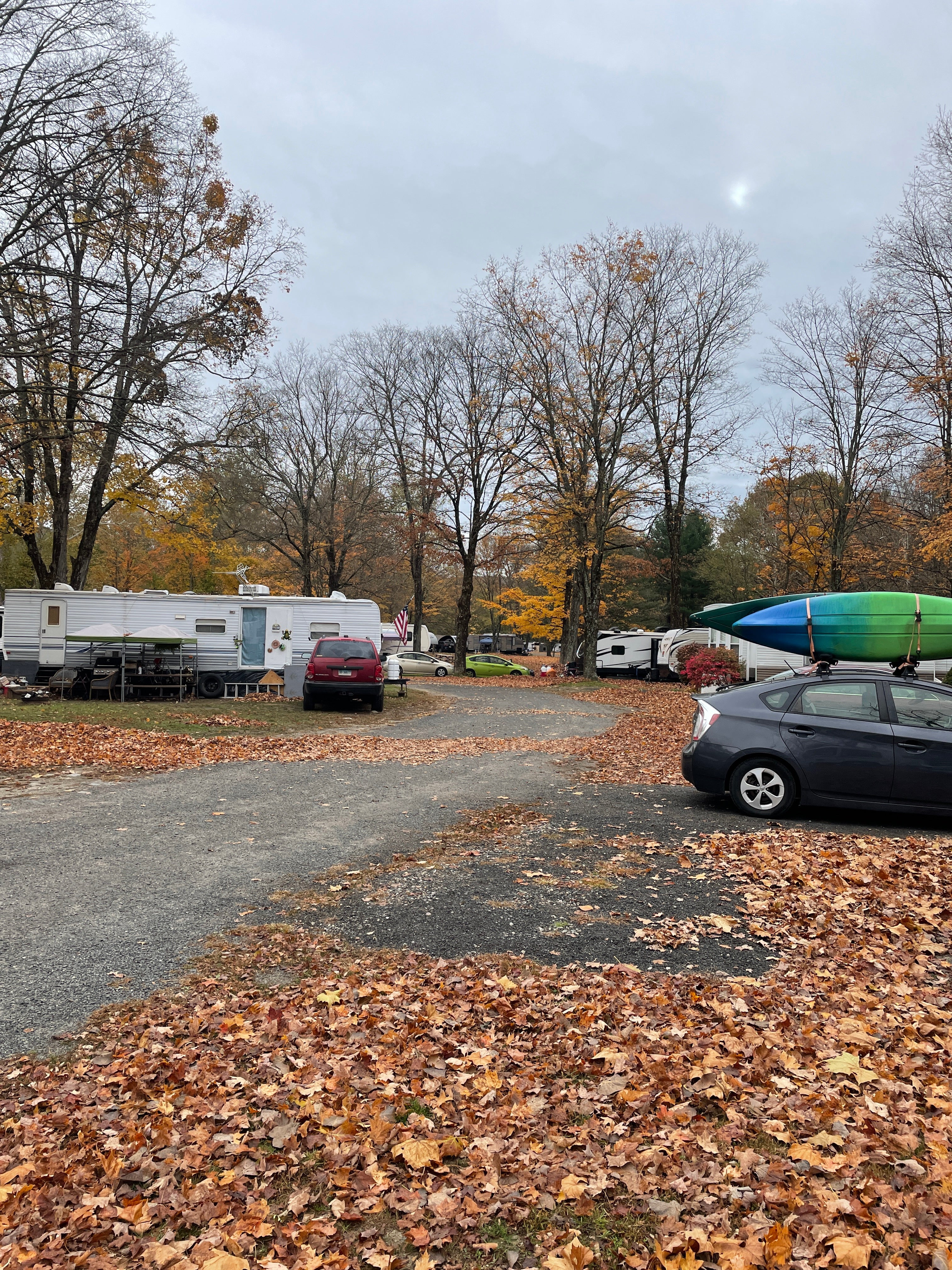 Camper submitted image from Branch Brook Campground - 3