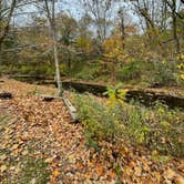 Review photo of Branch Brook Campground by Charlie & Danielle B., October 24, 2022