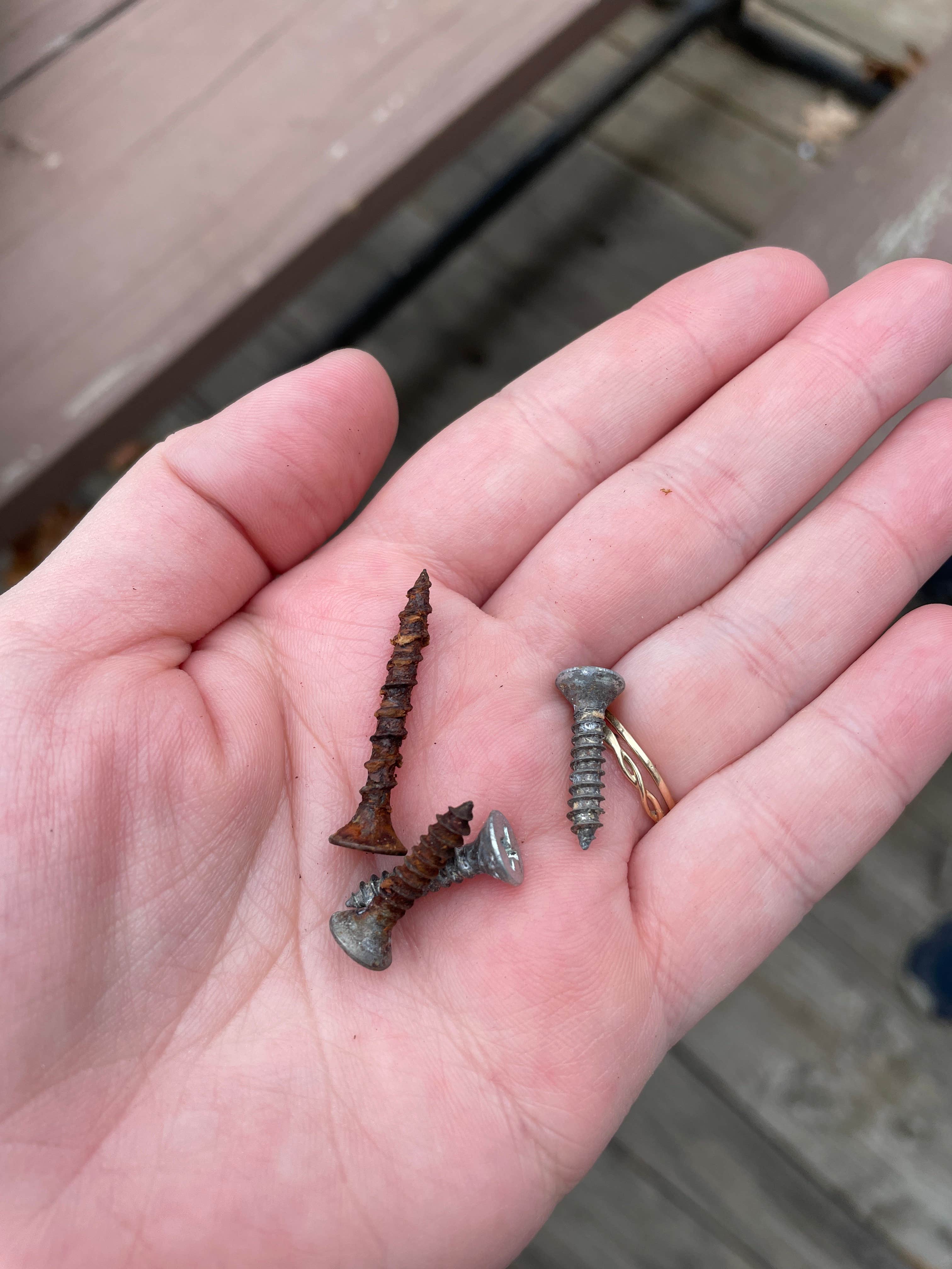 Camper-submitted photo at Branch Brook Campground near Ansonia, CT