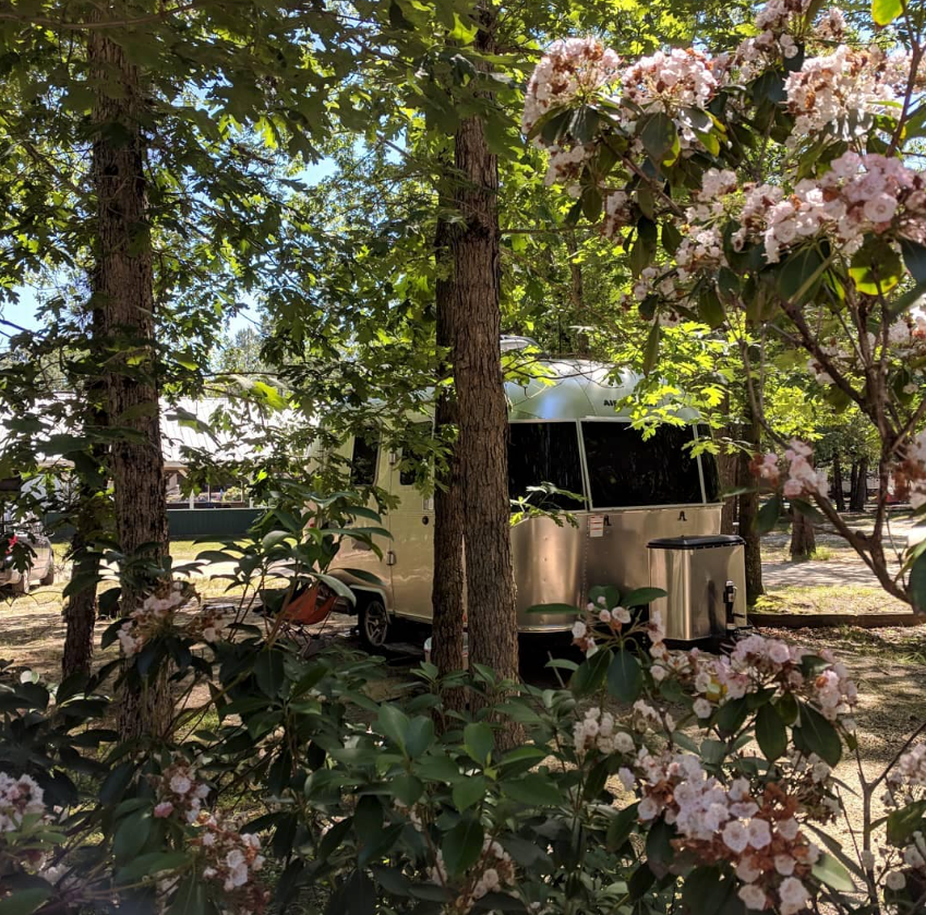 Camper submitted image from Indian Rock RV Resort and Campground - 1
