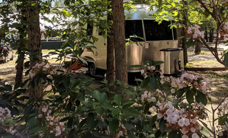 Camping near NWS Earle RV Park: Indian Rock RV Resort and Campground, Cream Ridge, New Jersey