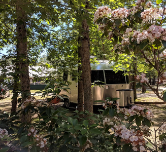 Camper-submitted photo from Ringing Rocks Family Campground