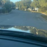 Review photo of Coastal GA RV Resort by Douglas T., October 17, 2022