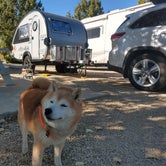 Review photo of Iron Horse RV Resort by Bill M., October 11, 2022