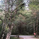 Review photo of Sol Duc Hot Springs Resort Campground — Olympic National Park by Kelly L., September 11, 2018