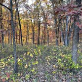 Review photo of Cuivre River State Park Campground by Michael  M., October 24, 2022