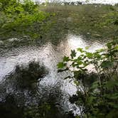 Review photo of Sol Duc Hot Springs Resort Campground — Olympic National Park by Kelly L., September 11, 2018