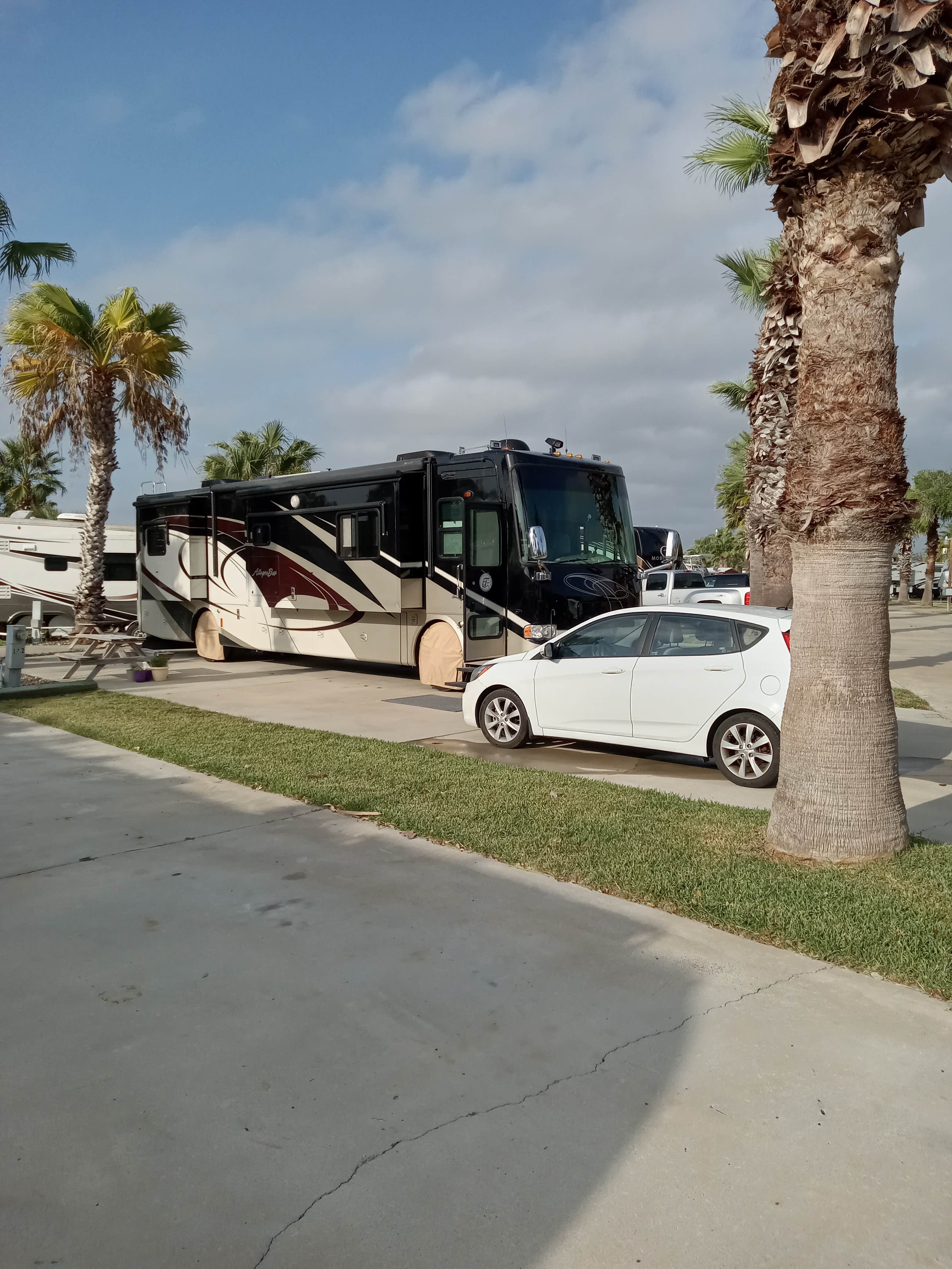 Camping near The New Season RV Resort: The Palms RV Park, Ingleside, Texas