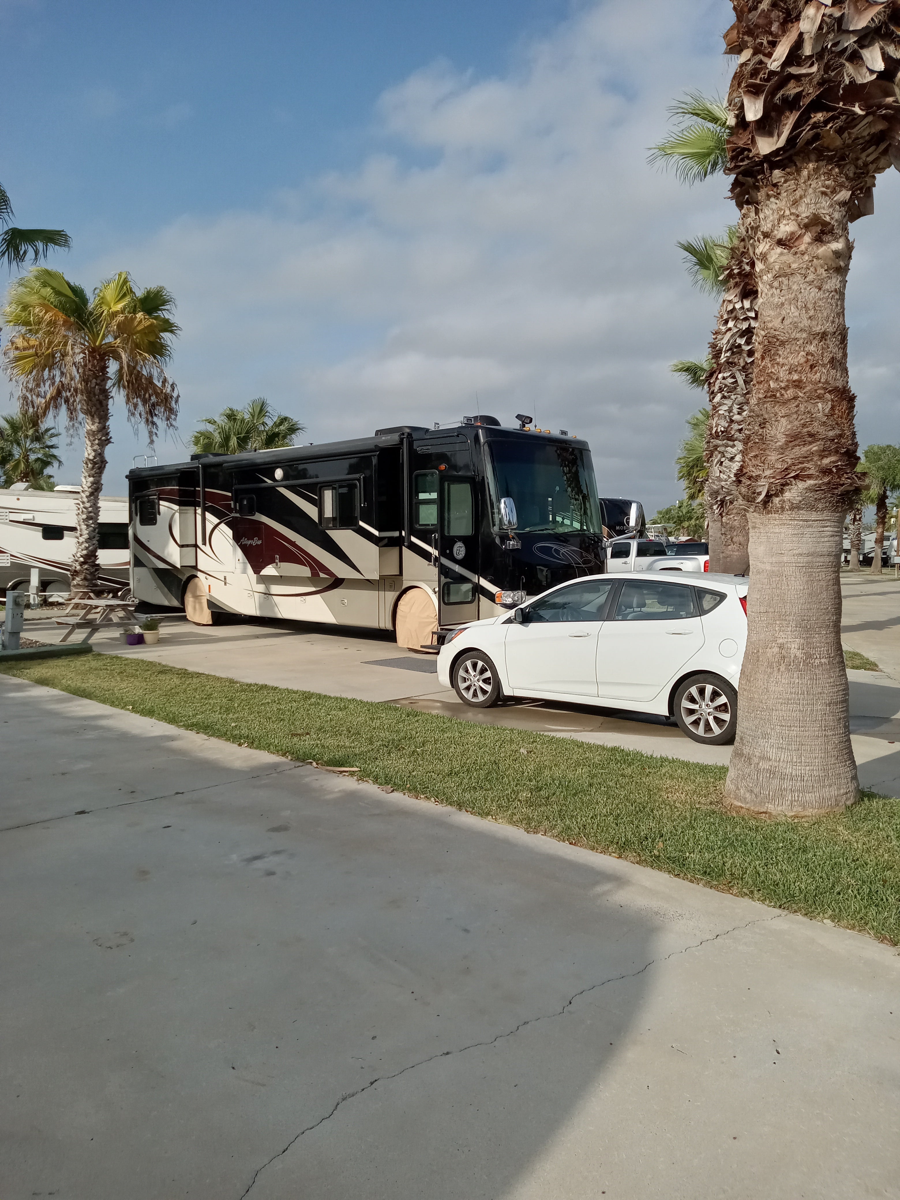 Camper submitted image from The Palms RV Park  - 1