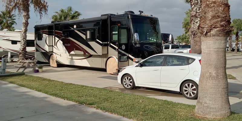 Camper submitted image from The Palms RV Park