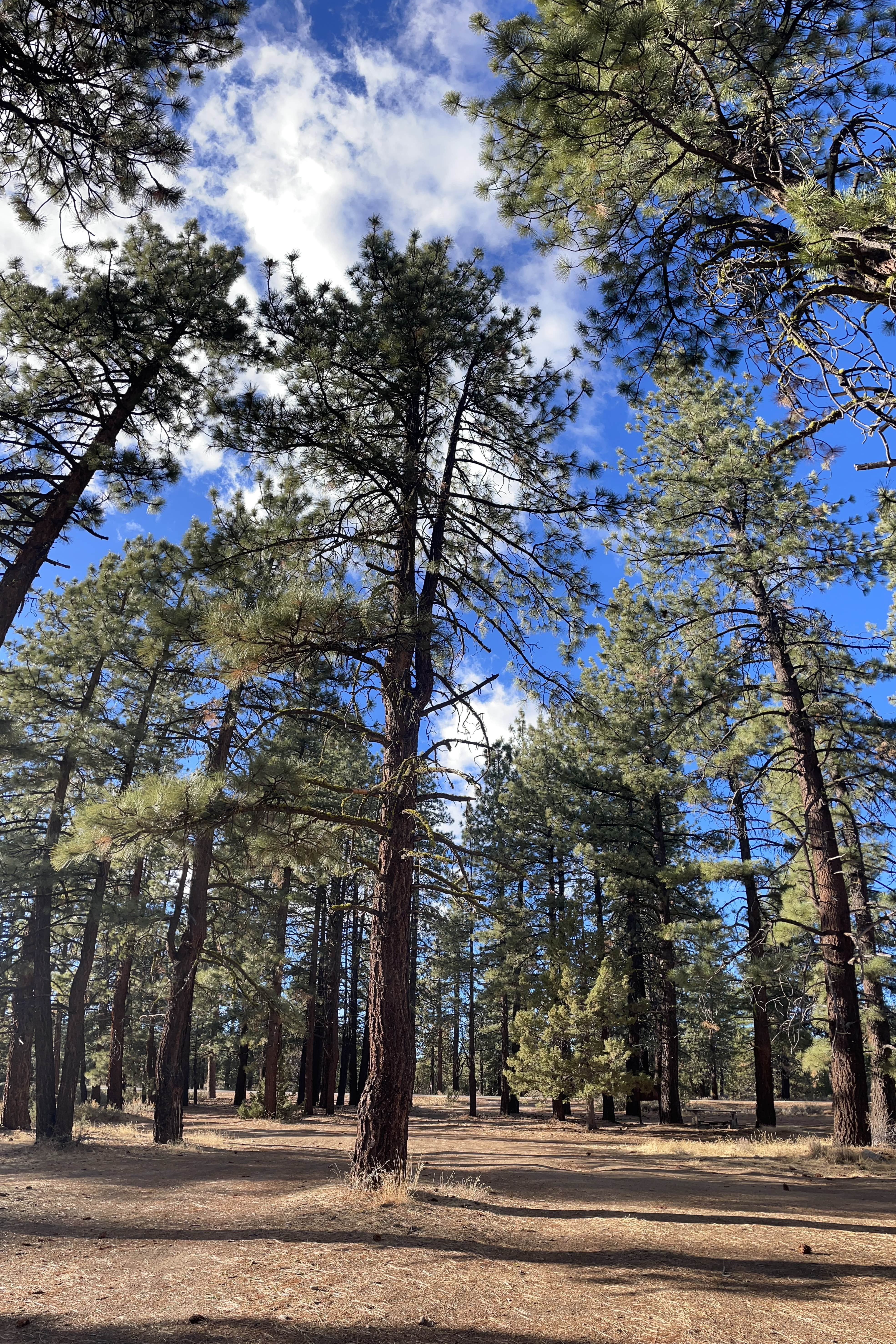 Camper-submitted photo at CA-139 Pull Off Area near Crescent Mills, CA