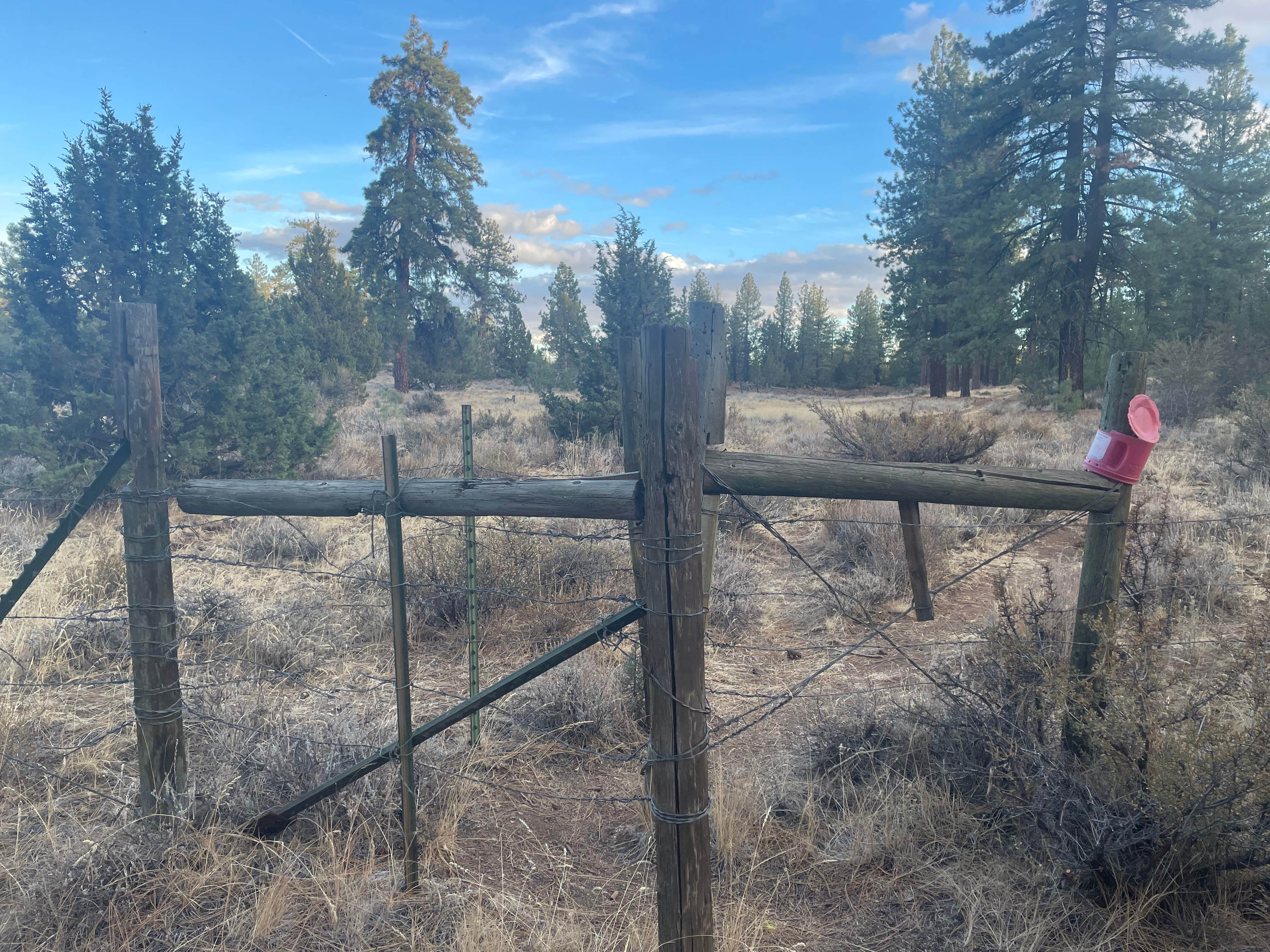 Camper-submitted photo at CA-139 Pull Off Area near Crescent Mills, CA