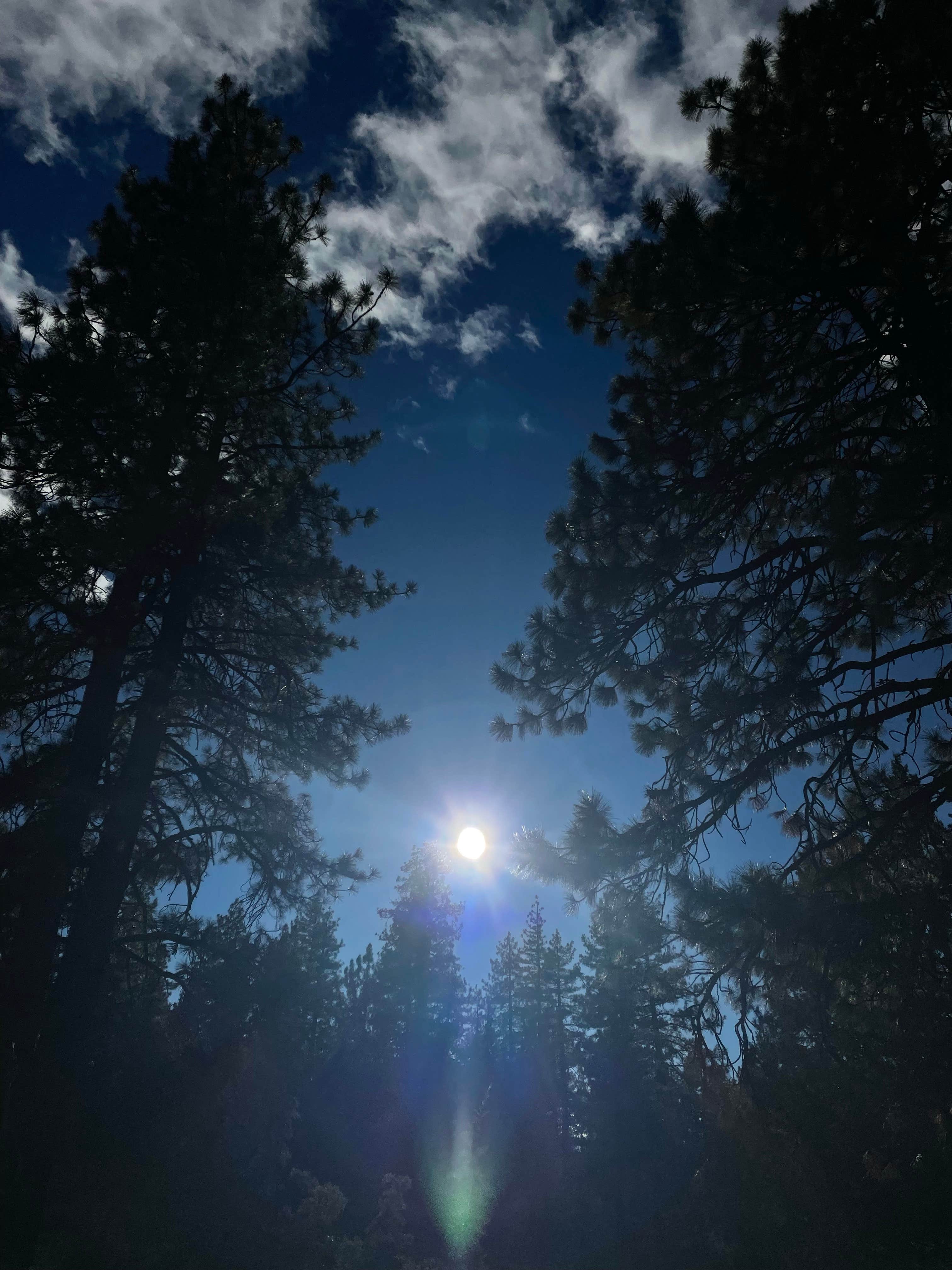 Camping near Rocky Point East: CA-139 Pull Off Area, Susanville, California